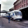 JACOB551551