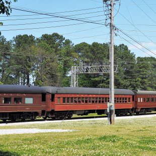 Pic of the Day 03.11.25