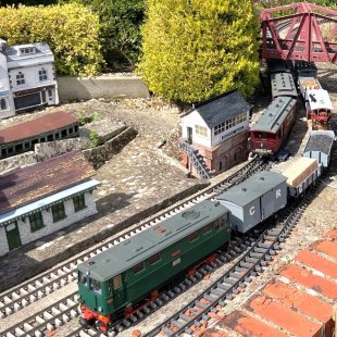 Pic of the Day 05.11.25