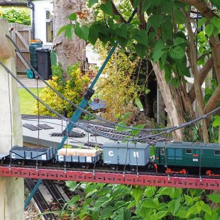 Pic of the Day 09.11.25