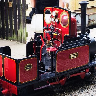 Pic of the Day 13.11.25