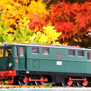 Pic of the Day 20.11.25