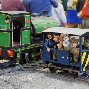 Media 'Pic of the Day 24.11.25' in album 'David's Pic of the Day'