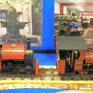 Media 'Pic of the Day 26.11.25' in album 'David's Pic of the Day'