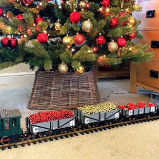 Pic of the Day 17.12.25