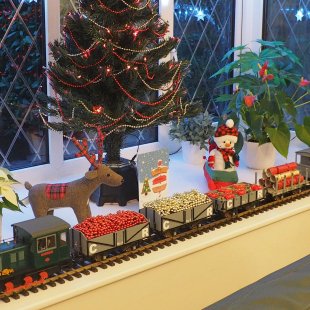 Pic of the Day 19.12.25