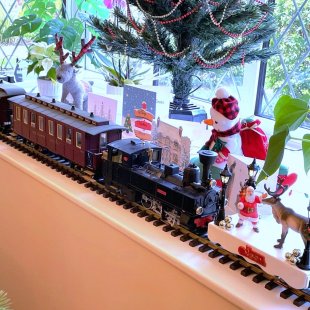 Pic of the Day 24.12.25