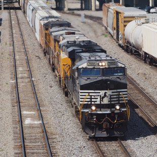 Pic of the Day 27.12.25