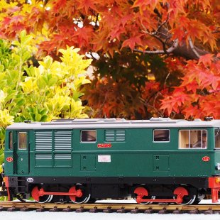 Pic of the Day 31.12.25