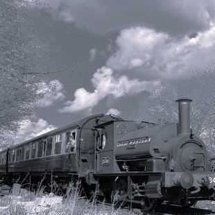 Pic of the Day 01.01.26