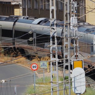 Pic of the Day 11.01.26