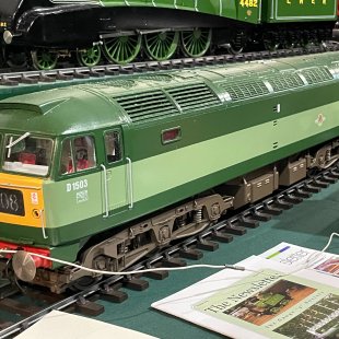 Pic of the Day 18.01.26