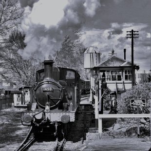 Pic of the Day 25.01.26