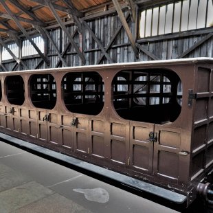 Pic of the Day 05.02.26