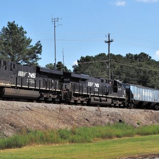 Pic of the Day 16.02.26