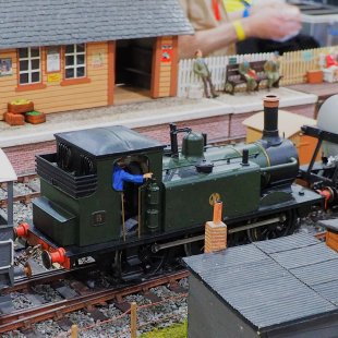 Pic of the Day 17.02.26