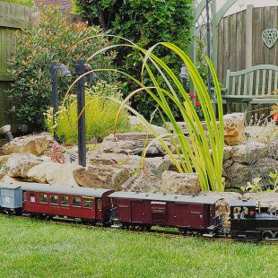 Pic of the Day 18.02.26