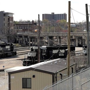 Media 'Pic of the Day 21.02.26' in album 'David's Pic of the Day'