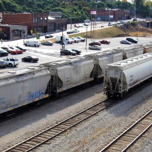 Pic of the Day 26.02.26