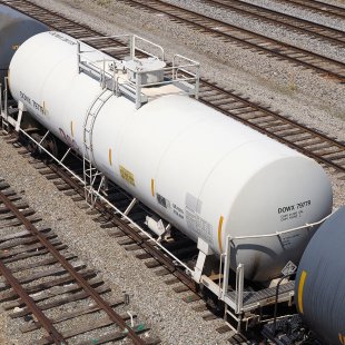 Pic of the Day 30.03.26